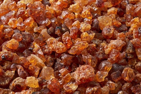 Processing Facility in Isiolo